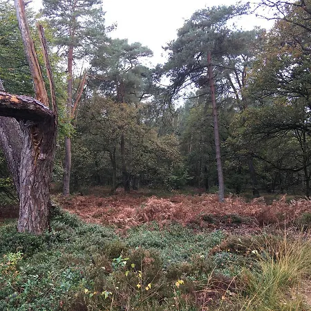 Szálloda De Slaapfabriek En Trainingslocatie 4*