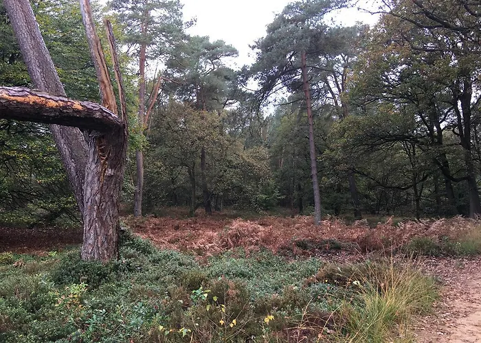 Hotell De Slaapfabriek En Trainingslocatie 4*