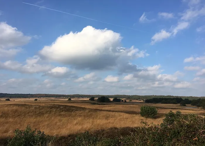 De Slaapfabriek En Trainingslocatie